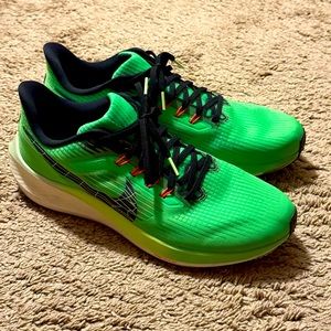 Nike pegasus 39